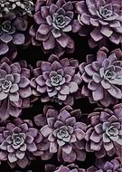 2019-01-26/f88ee1899e0e3e8e361ff7ce7979b977_fc8455cbdc1dd4494c0dcc41fe8b9924