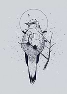 2019-01-28/33012c02f648d91fed89b049f200c37f_ac26c41769e284f29543c18222cebc24