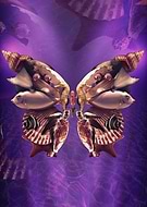 2019-01-28/d55d257ed4dd701eeb5de100a96d82dd_ec369ca1296fafc467bc0dc4708683c6