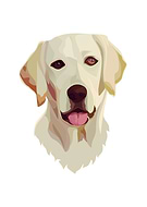 2019-01-29/9732d06cd803dc7dd7e6df577511c6bc_0694d44a09898789885c74008da02bc5