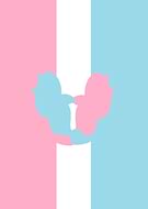 2019-01-30/255cc07dbb17de876aad1a6612520750_b0752bf1511bc8e9cb1f25e8b8645089