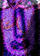 2019-01-30/936525615f7405db666eba1a340d0284_142e430e1bb5ff1044c064afb567d228