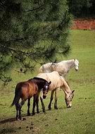 2019-01-30/bc856b3ccf2d9c3bd5c9e90908f35edb_578dcebe3544c0d949aff23eb3a35059