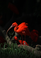 2019-01-30/c4a7c5a169e92f90914c6fbda74b4bd7_5197b4ca58a516bb2b17c24ecc56c333