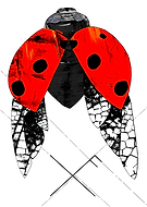 2019-02-01/1f9727d07cad7e008b5cb3e68ff9db22_402feb6f69f88a2bc1d5bad4f9171af3