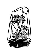 2019-02-01/57246435c3c076063a0631e97cc06be2_9731b56f55321dfedeb19fd0a2ad75d4