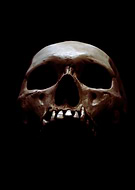 2019-02-01/d0f4625e4815d2d4569bc3198438dbac_06e9796e740d1baaf41ee909d4c47f76