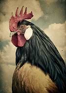 2019-02-01/e378ebc1e155b4001dcc1098a199ed21_32898c0016c56072e9f1ed9bb5bcc505