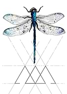 2019-02-01/ea926ca1255076a0cca61bb02dbe793d_61abc5003f0f5c3013b9e3299d922b99