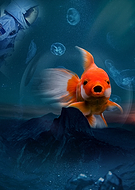 2019-02-02/91aae8228ac1fb3e9892e057ad6bd8e1_712fb649dad5cc28444dfe0e7c9e312e