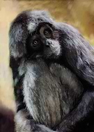 2019-02-03/5bc843f5bcfbf7d8d6fca49d99daeabb_e2c5a32f30c7ebf7ab35b209e43fd074