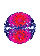 2019-02-04/95a30c676202f14e566a8cf40a3ad276_a5db65c3f3def9b28f752d5c28da37dc