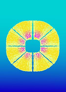 2019-02-05/337dad6a255bdda5445ee508020f7201_245d7ef4054fcf95f5c27bf1c35bde4d