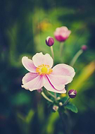 2019-02-05/5c61277610e7c608bd206e4ed21007ca_7433e7e15dfc65b46c8d41f61fc12466