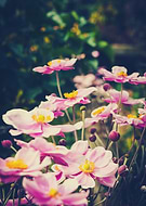 2019-02-05/972fc7f6fbe5e051425c7956384b447c_187e273041cf6bae3d6a5cf142029b68