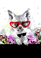 2019-02-05/c59b8f6b7af9d3945a859eac7c92778e_4d9233f168097e3060979759e38045d6