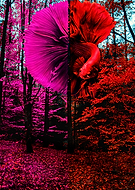 2019-02-06/415f3f16f9c04643e24db16938361c70_ed736e05988ba303e8efdf600d8eaf02