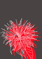 2019-02-08/9df3232551ced774a2dff821d453d5bf_2660731b4a9fef6fcb14cb3ceda195d7