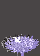 2019-02-08/b1202bb92a10fca4136199b4807335cd_e95b1e920d61173eea9e1350130c30c9