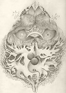 2019-02-08/b1c08fcb18b0762f7917c7f7be87fb06_95e11131468667891324185eda7919bf