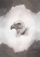 2019-02-09/1b56833d958571103cb12e6ef40732da_7e6cb7c8d0a5319eb7721aaf177ce18d