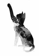 2019-02-09/cd035b98de130c90e8e836e592254463_5500e5cada80d0209eec8de794891db3