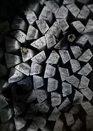 2019-02-10/a16c7996a342f2b77fda5c11136e902b_7c9e80b9a6049930b1ecdf9e26248453