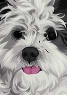 2019-02-11/2109b3a480c60f84aaaf68090e34a69f_e23bbf8a796daf17408506b615d0da0d