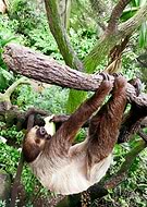 2019-02-12/773bb2acb2dfcda2f0e33532d2735831_143d70d2dc46dd4b74f436f756cb1477