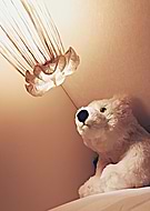 2019-02-13/5ff6aba4c4c6ca2dd4419ef94519dfce_9349ccc28019d91b3edc84917047dced