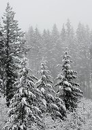 2019-02-13/7eb8dfe52873587d04e1a93668ae816b_8415343ddbab790cf71d304a023b2f02