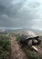 2019-02-14/e4180f1df0413863ab710ee2fdce1fa3_7124c2ce1d4ed20e317e85613472a4b2