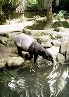 2019-02-15/3f8869c06c4b11abf95d05c544a962eb_fa3f98a03d4ac8948ff48324f45ae470