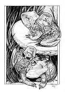 2019-02-16/2401eed2a7d6ea838486bd377bbbb848_2ceedf15b548c50c7897ad19442f81c8