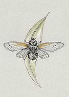 2019-02-16/ebf6e43820a3865a818e44b1f0dbeb03_8a3780d7cea3d96b91e566051a753c6f