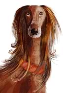 2019-02-17/3454ebedb1854a36f83dd34553410787_91efe6bff4d3733ca1516dcd2a6cd96a