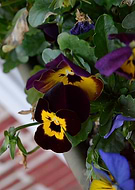 2019-02-17/af3a60731bc5b1dda3aac55c21289671_f73b27d2cec792b72b99c1a4bcbc9128