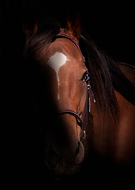 2019-02-18/8cab706cf0c2d0c8007d804fac0be98d_f3624f867613dd93d9bf7b3edb8ba362