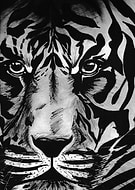 2019-02-19/d92c7de915db1d0a30949a88fc9e7b48_ae9c9193b1c06a9c9686924599abba18