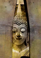 2019-02-20/2c43a92877ec0ceb15a30a6d085d34a9_c7429cc732a501838adb24c398b5666a