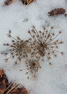 2019-02-21/015dbcd26b2eada89db163a3c84068fa_d573dd67dbd6987048fb2cc0e608c546