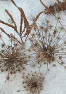 2019-02-21/16e690e5b6dfe77c1c2e4778f12b93d7_dad50edc4f27aaaaaf6fa9044db2d62c