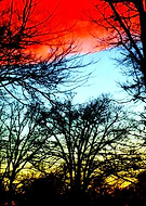 2019-02-21/3a1502f5ce5595baff1033fe640b2d0a_c1f154b0bc95178bb0374634897ae036