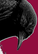 2019-02-21/553372a881e0643cd31814932697cf9a_2206e956ae3568d4287f275b74ba5d69