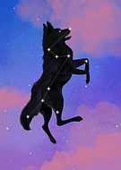 2019-02-21/7d8cfb0d5f7ba5b4215f1e7a68e30353_3847df977ec067129e4754c682e637bd