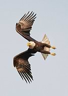 2019-02-21/da831d8e67df531bc04cc6580c7a8f7b_b985ec1f6dd2ce671243c918c7e0dce6