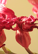 2019-02-23/1cf28e9e44090b5ec66e0eb83b8d10bc_ac6c5905da5770c869f8ca80de1b12ce