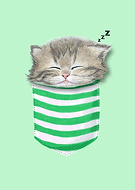 2019-02-23/5ca06ce4f971e153ae68394764100e49_517dc22a01b9b69971566c618af23c80