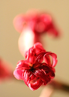 2019-02-23/cb3bd23c89a7dfc600b784161cf1e026_54b063526361600e485bed8d4757804d