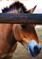 2019-02-24/fbc6ab571c2b7d1e7c144692cb8b3c3f_b78fc4556978796339bf977131baed15